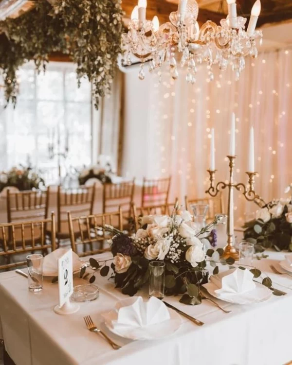 vila-green-day-salas-restoran-novi-sad-4